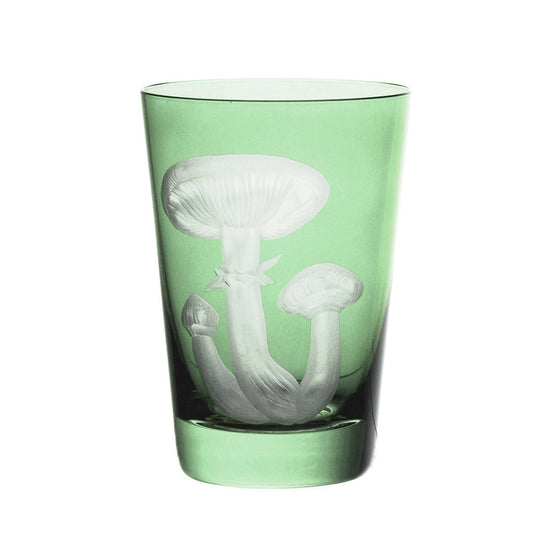 Mushrooms Honey Fungus