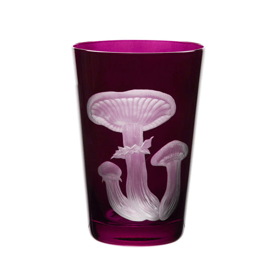 Mushrooms Honey Fungus