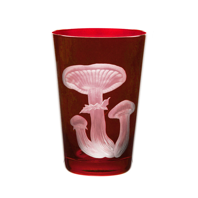 Mushrooms Honey Fungus