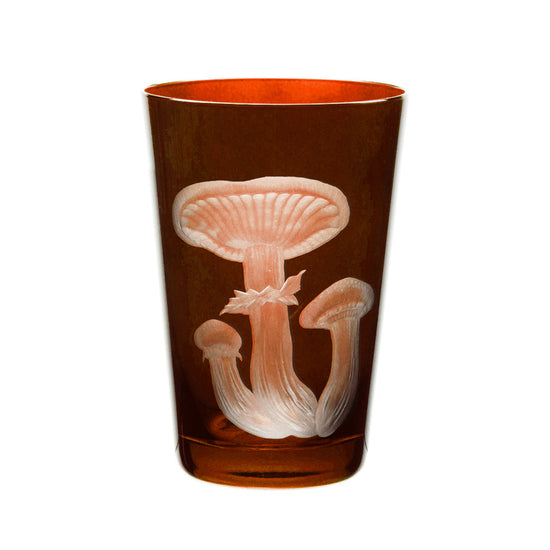 Mushrooms Honey Fungus