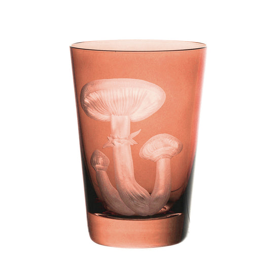 Mushrooms Honey Fungus