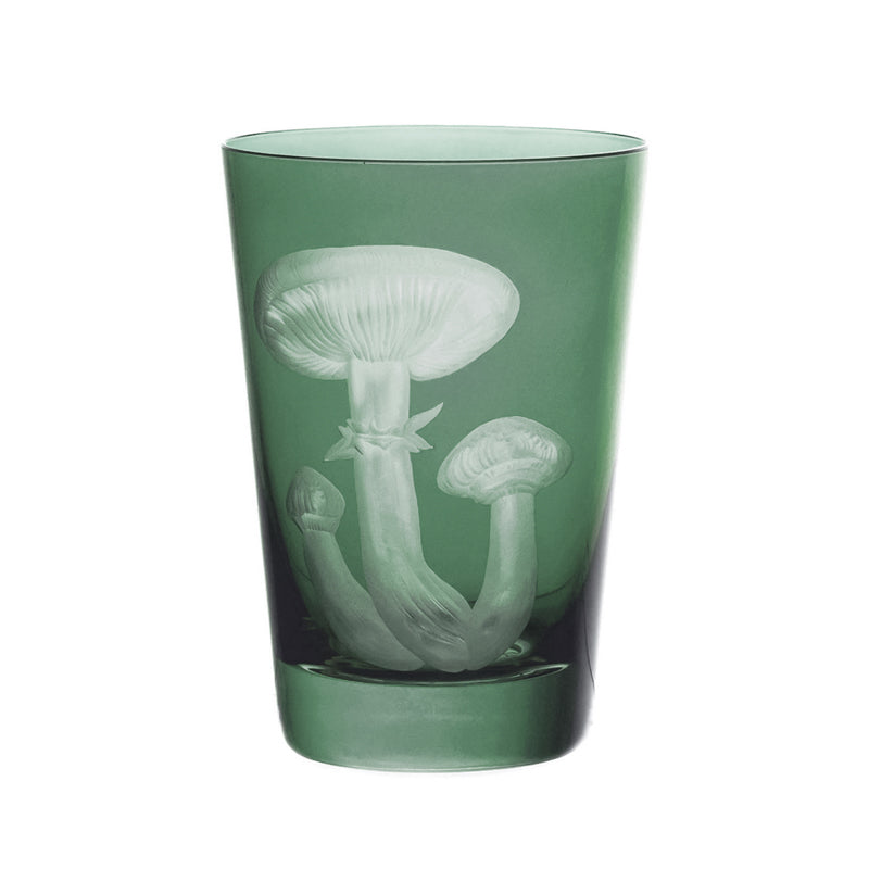 Mushrooms Honey Fungus