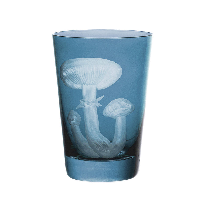 Mushrooms Honey Fungus