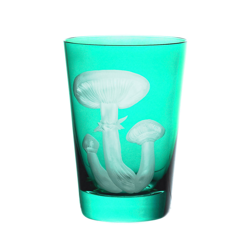 Mushrooms Honey Fungus