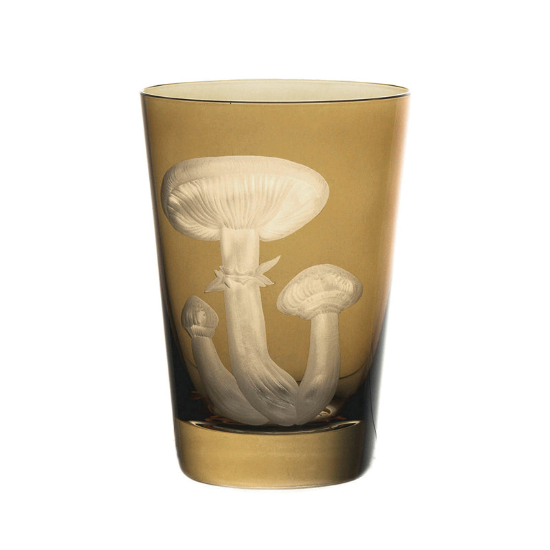 Mushrooms Honey Fungus