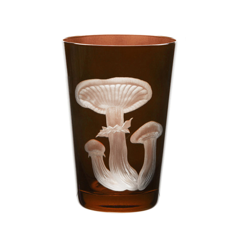 Mushrooms Honey Fungus