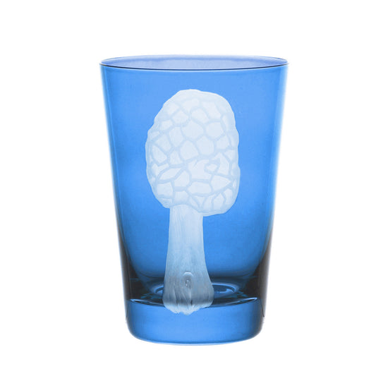 Mushrooms Morel