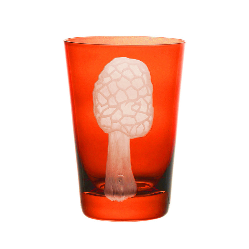 Mushrooms Morel