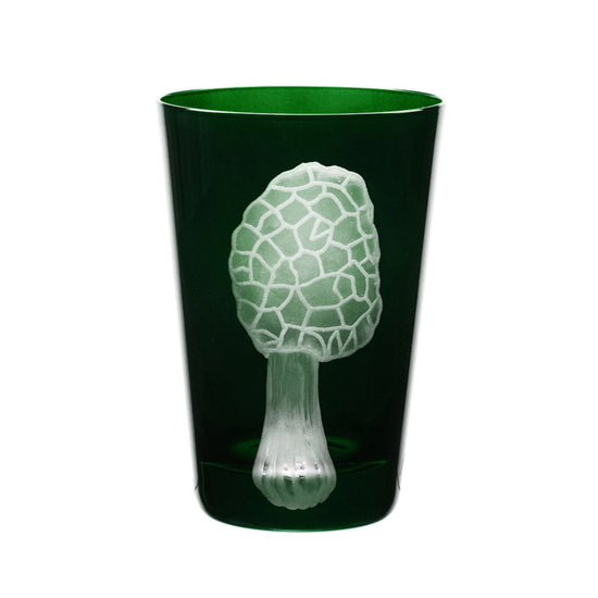 Mushrooms Morel