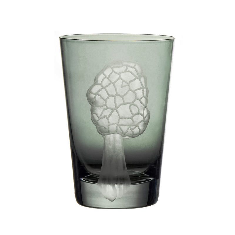 Mushrooms Morel