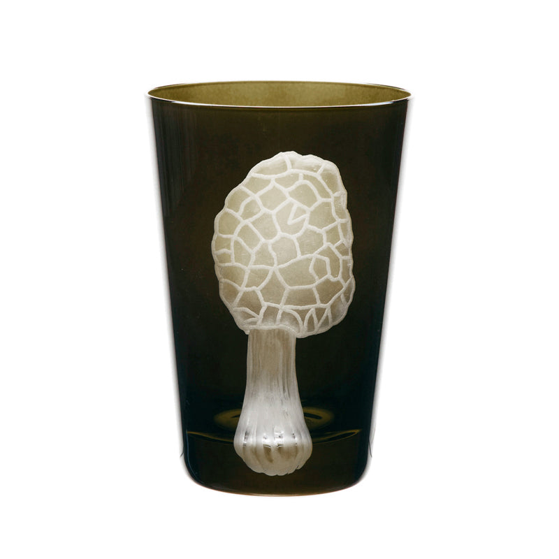 Mushrooms Morel