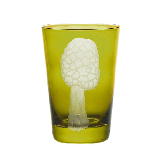 Mushrooms Morel