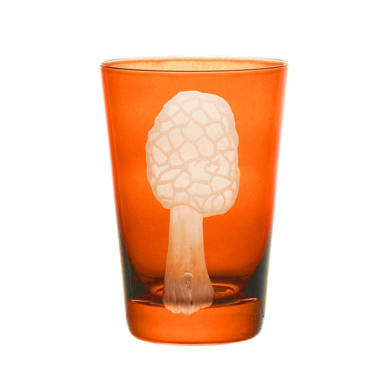 Mushrooms Morel