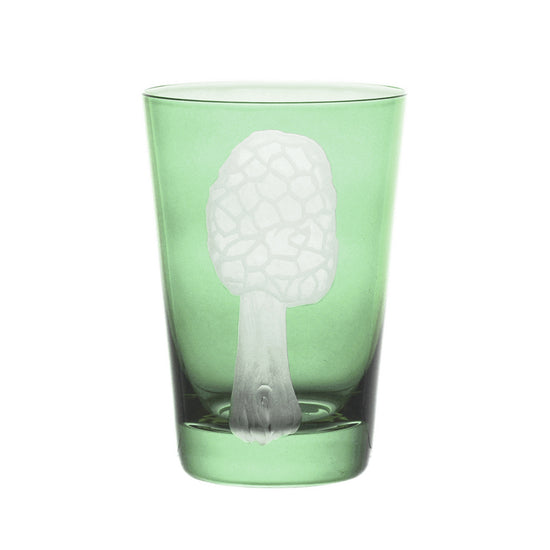 Mushrooms Morel