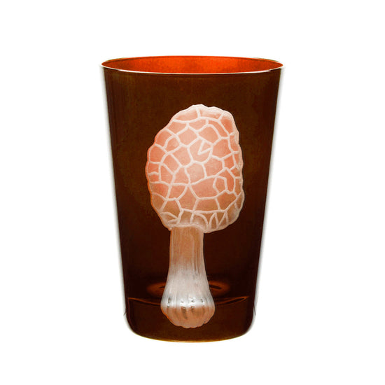 Mushrooms Morel