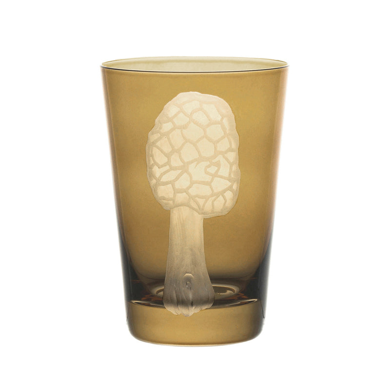 Mushrooms Morel