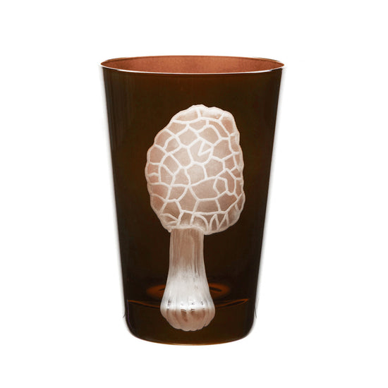 Mushrooms Morel
