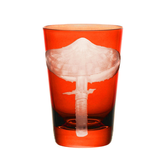 Mushrooms Parasol