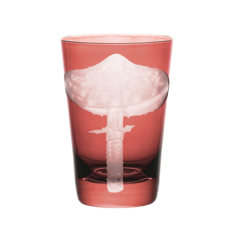 Mushrooms Parasol