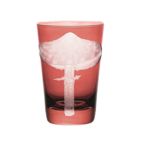 Mushrooms Parasol