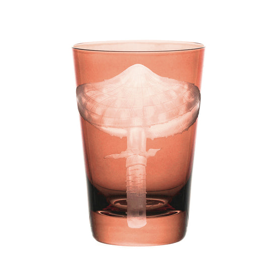 Mushrooms Parasol