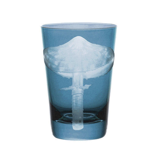 Mushrooms Parasol