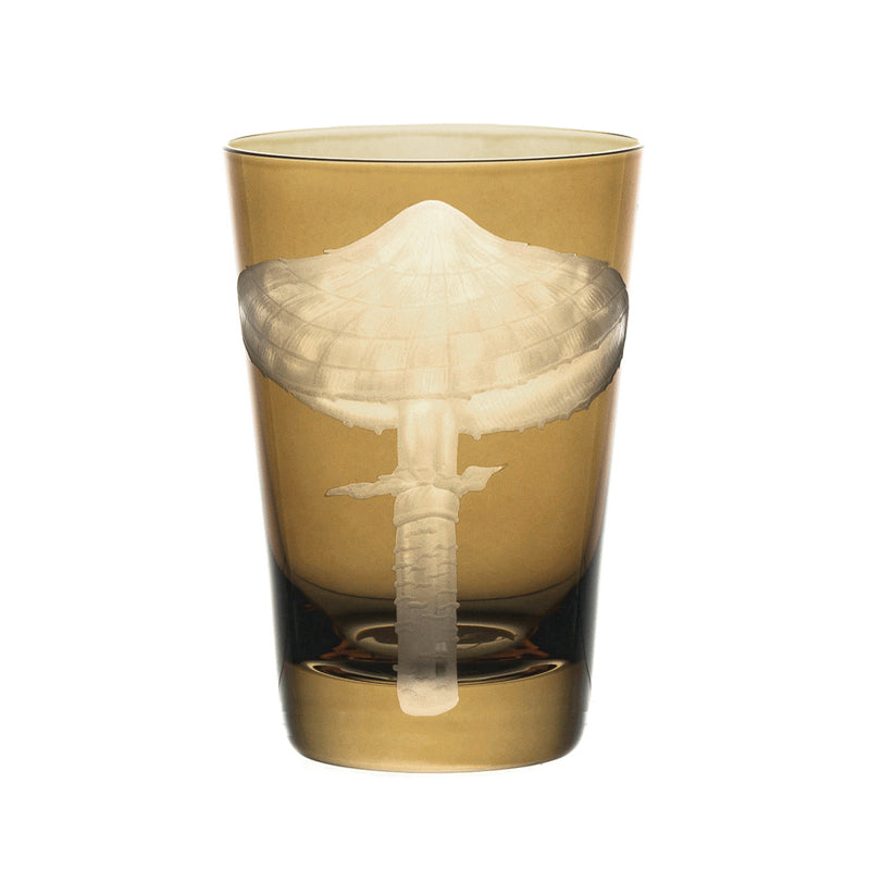 Mushrooms Parasol