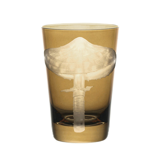 Mushrooms Parasol