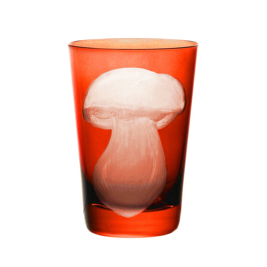 Mushrooms Summer Cep