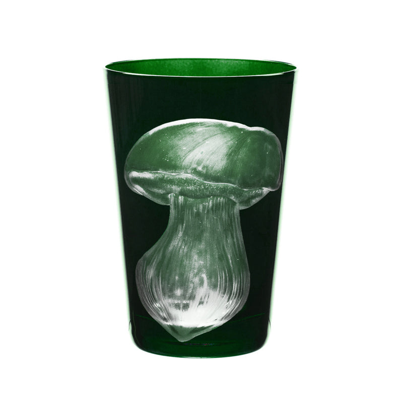 Mushrooms Summer Cep