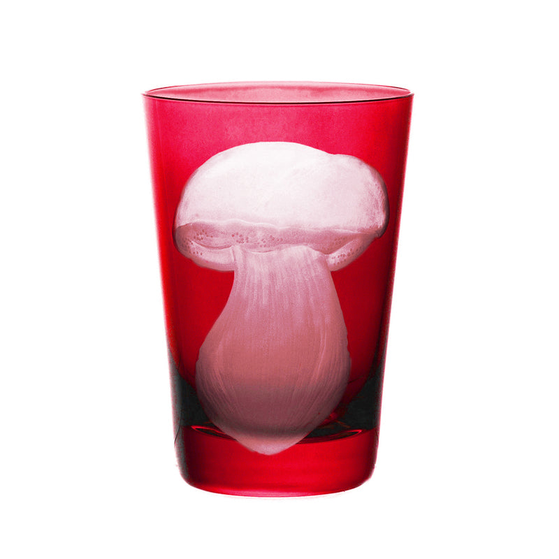 Mushrooms Summer Cep