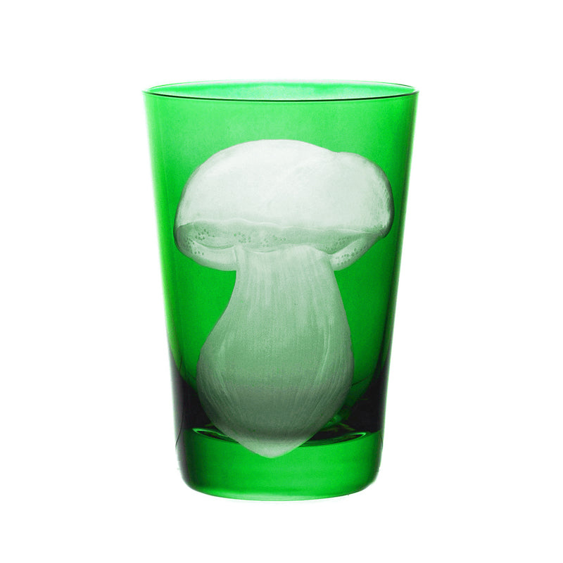 Mushrooms Summer Cep