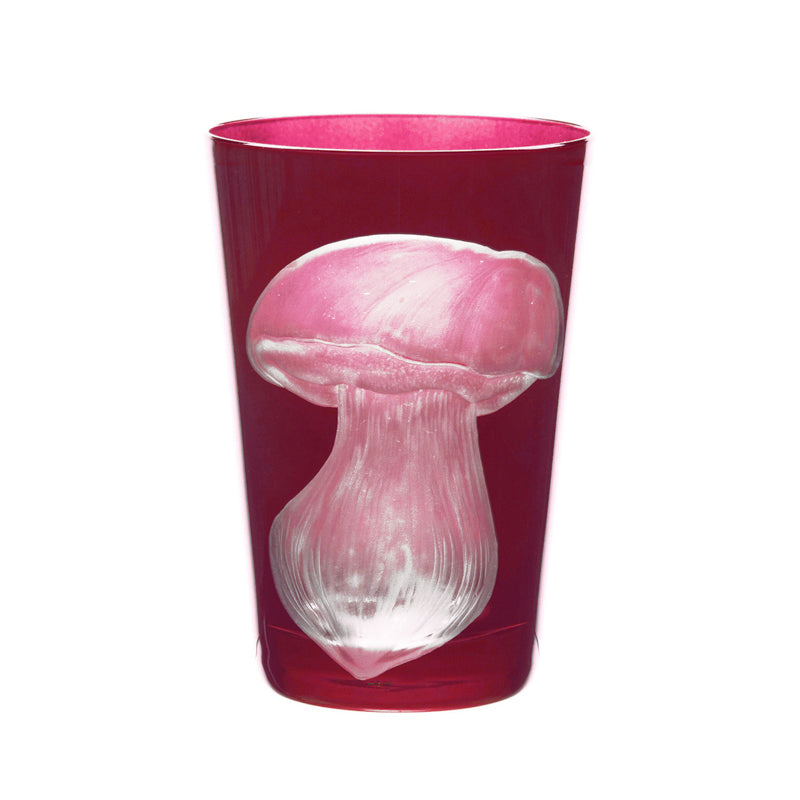 Mushrooms Summer Cep