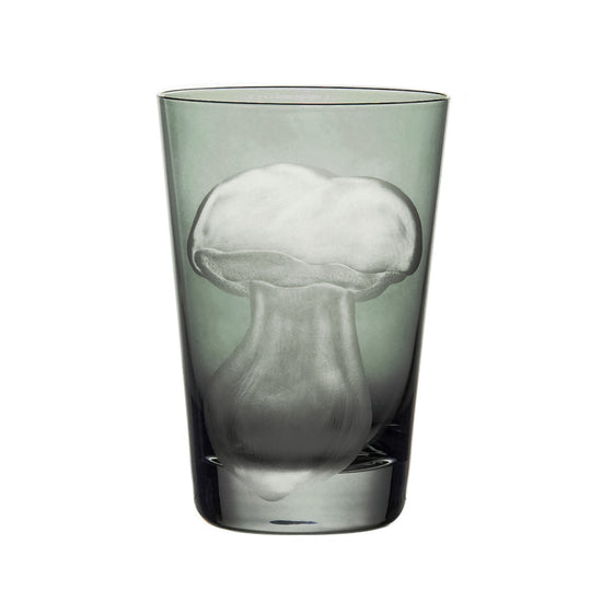 Mushrooms Summer Cep