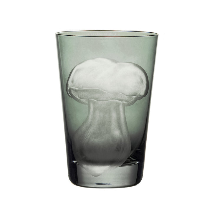 Mushrooms Summer Cep