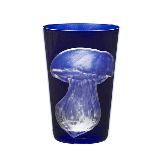 Mushrooms Summer Cep