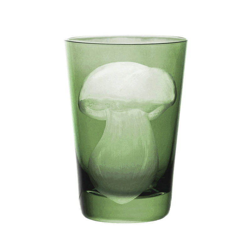 Mushrooms Summer Cep