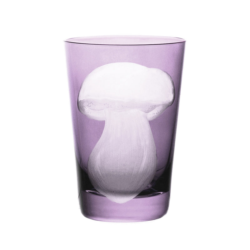 Mushrooms Summer Cep