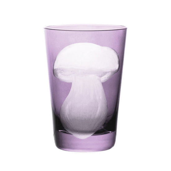 Mushrooms Summer Cep