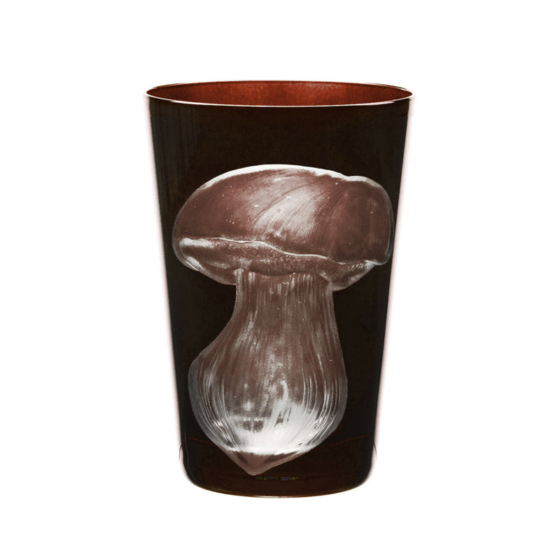 Mushrooms Summer Cep