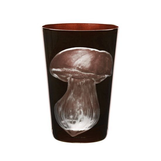 Mushrooms Summer Cep