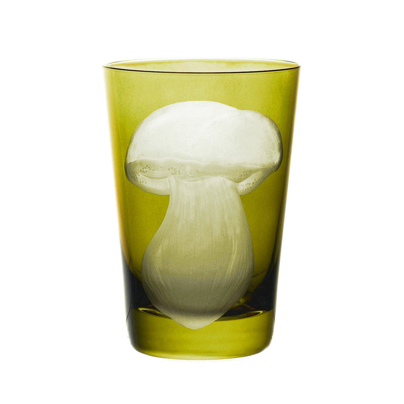 Mushrooms Summer Cep