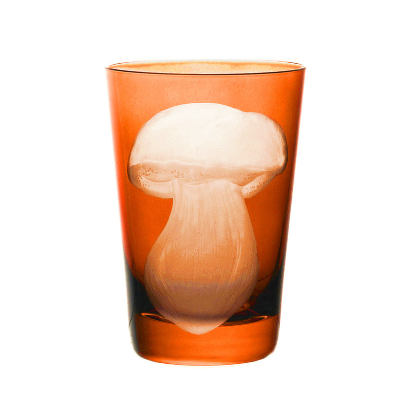 Mushrooms Summer Cep