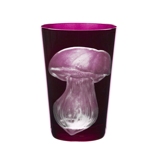 Mushrooms Summer Cep