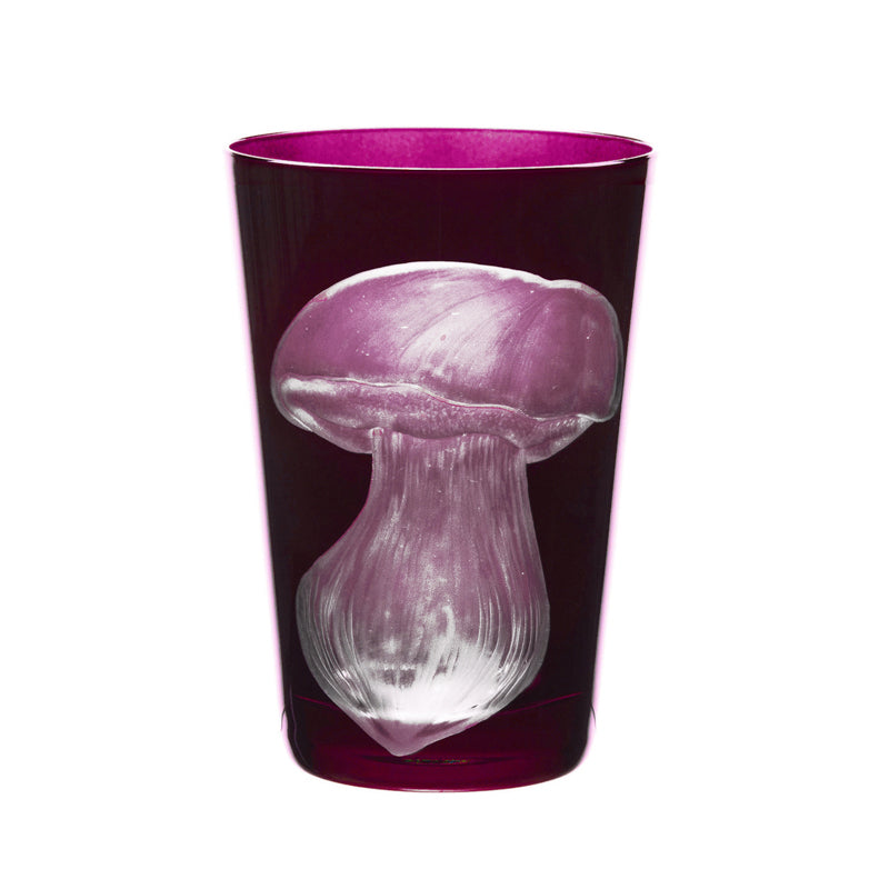 Mushrooms Summer Cep