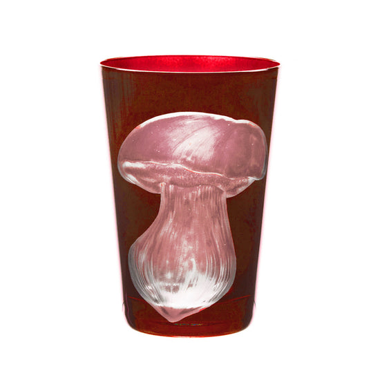 Mushrooms Summer Cep