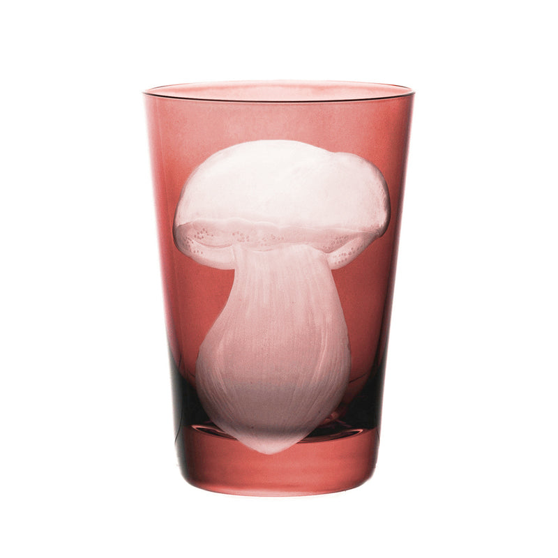 Mushrooms Summer Cep