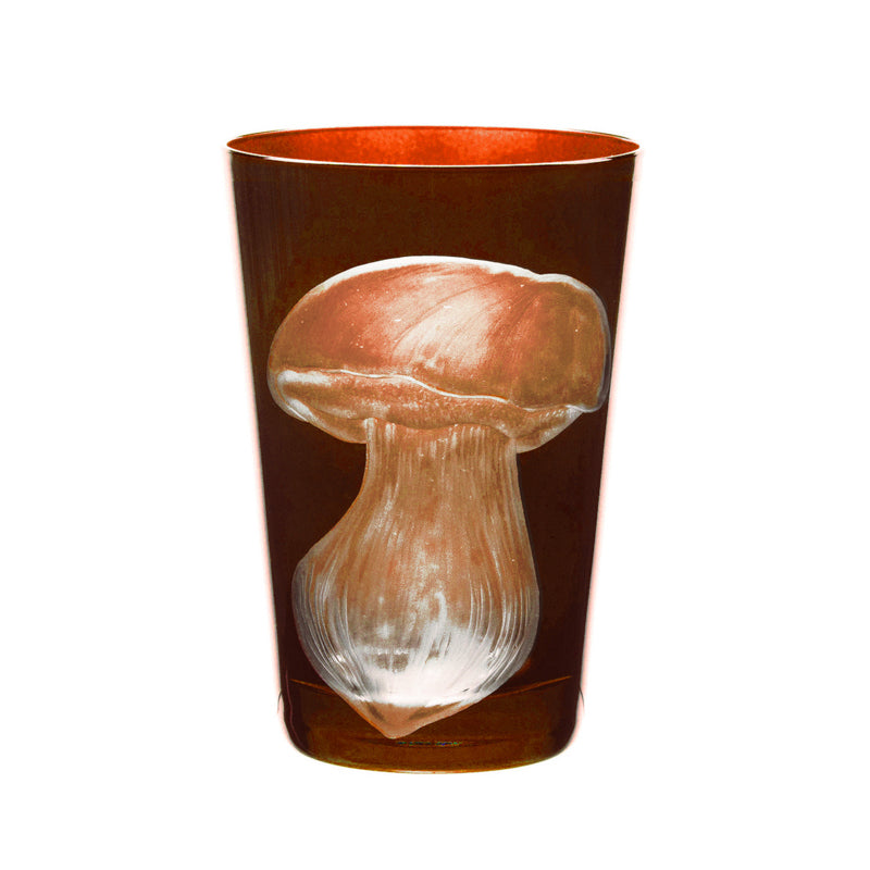 Mushrooms Summer Cep