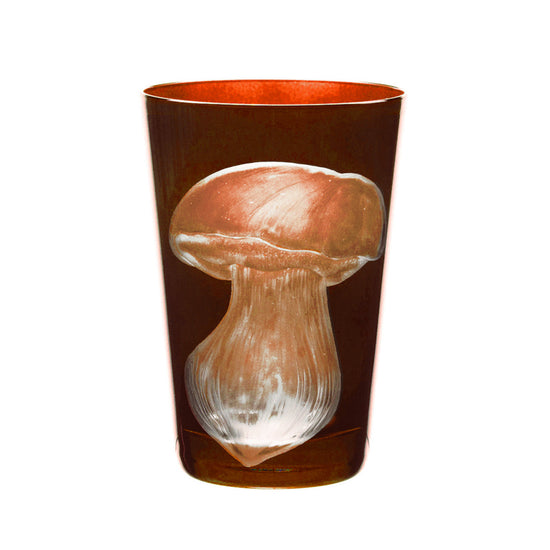 Mushrooms Summer Cep