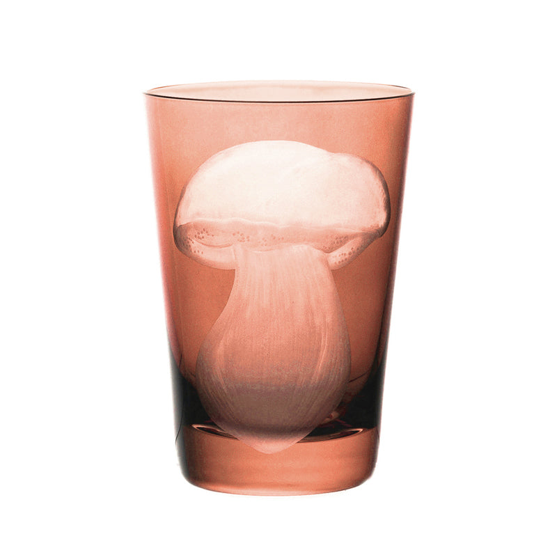 Mushrooms Summer Cep